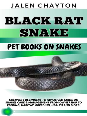 cover image of BLACK RAT SNAKE  PET BOOKS ON SNAKES